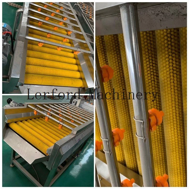 vegetable washer machine