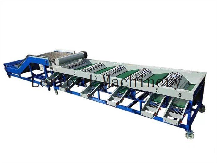 fruit sorter