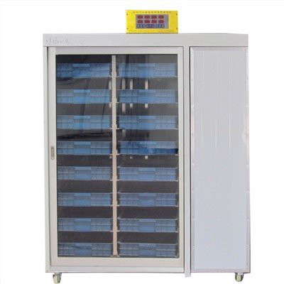 Hydroponic fouraj machin