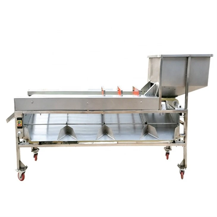 Apple Sorting Equipment