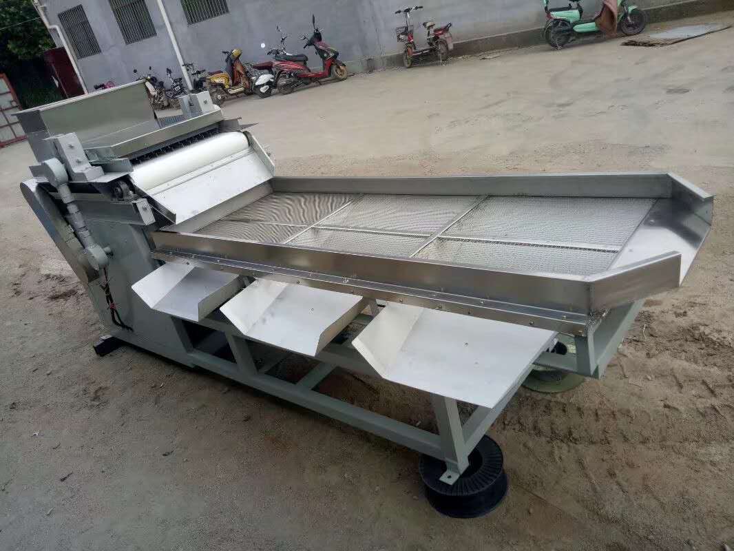 electric nut chopper electric nut chopper